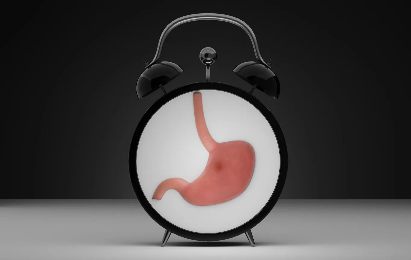 Réinitialiser vos signaux de faim