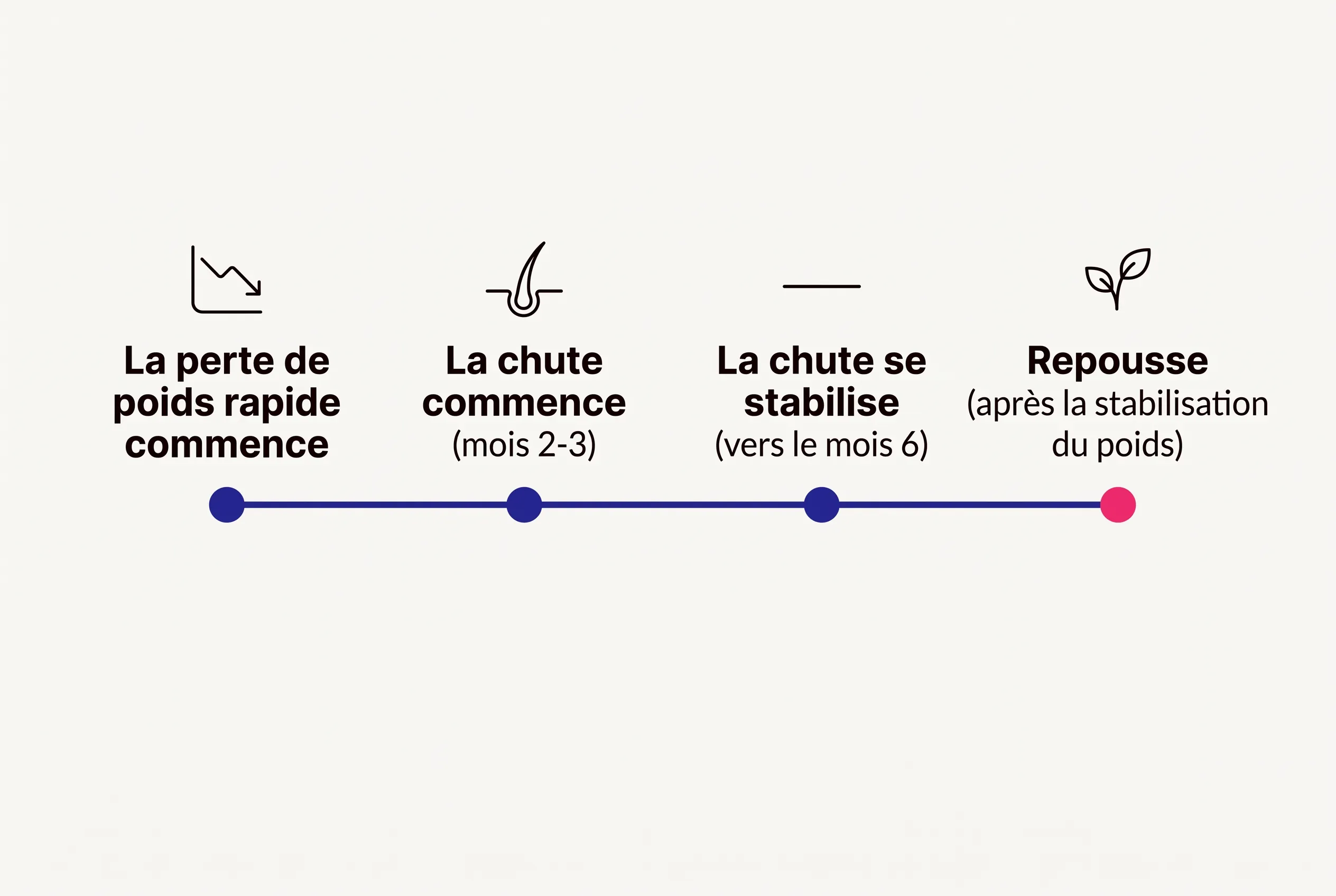 Chronologie de l’effluvium télogène après une perte de poids rapide : la chute débute vers les mois 2–3, se stabilise vers le mois 6, et les cheveux repoussent dans les mois qui suivent la stabilisation du poids.